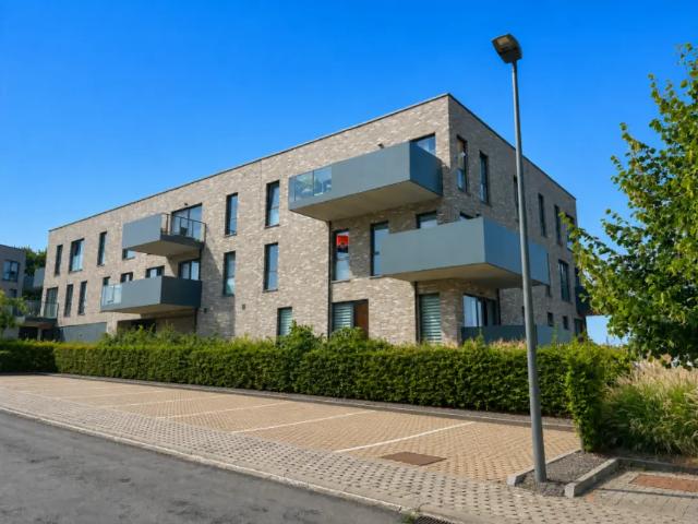 Appartement location à Visé, Wallonie