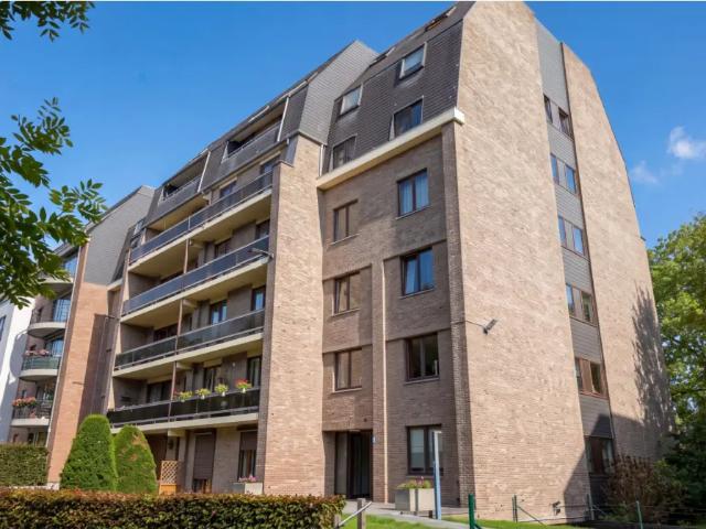 Appartement location à Wanze
