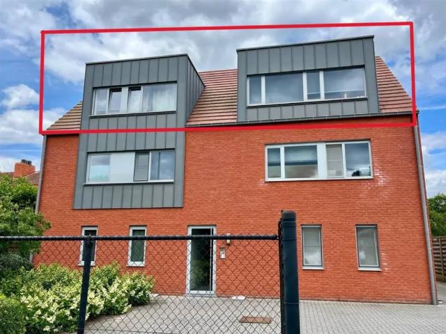 Appartement location à Wechelderzande, Lille