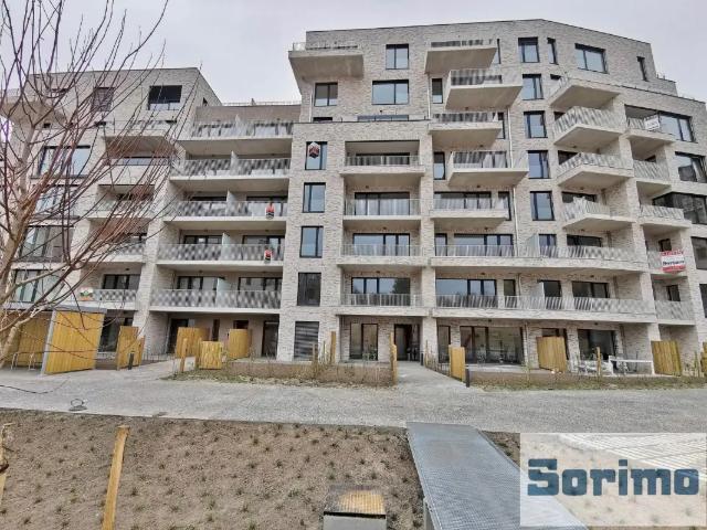 Appartement location à Sint-lambrechts-woluwe, Bruxelles
