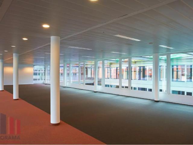 Bureau location à Schaarbeek, Bruxelles
