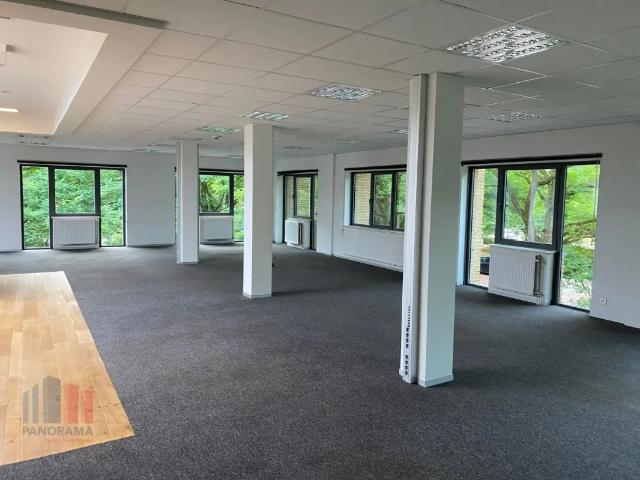 Bureau location à Assche, Brabant