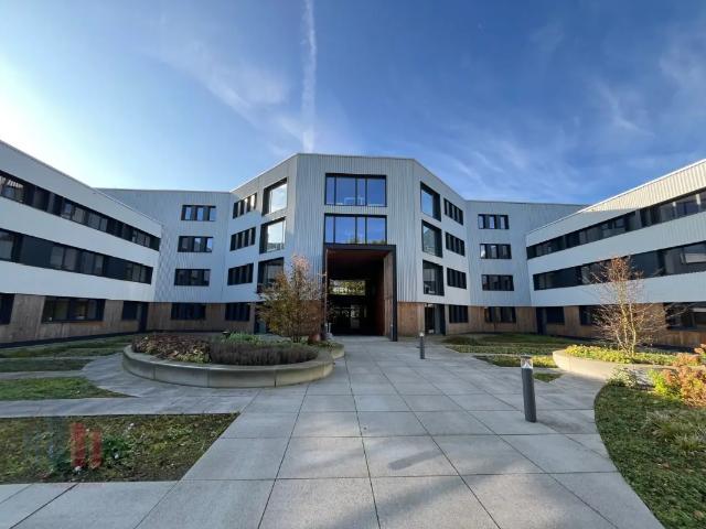 Bureau location à Desteldonk, Oost-Vlaanderen