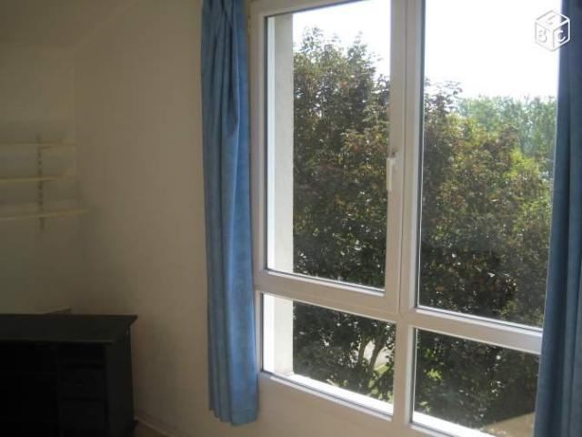 Appartement location à Mulhouse, Collectivité européenne d'Alsace