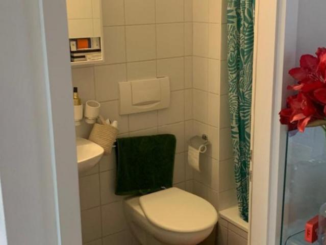 Apartment mieten in Cheseaux-Lausanne, Waadt
