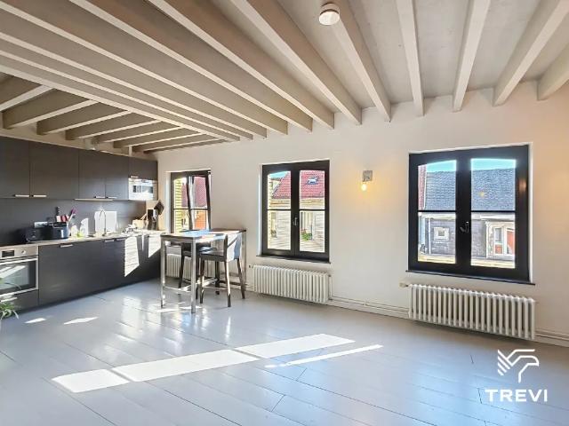 Duplex location à Quartier de l’Aulne - Elswijk, Ixelles - Elsene