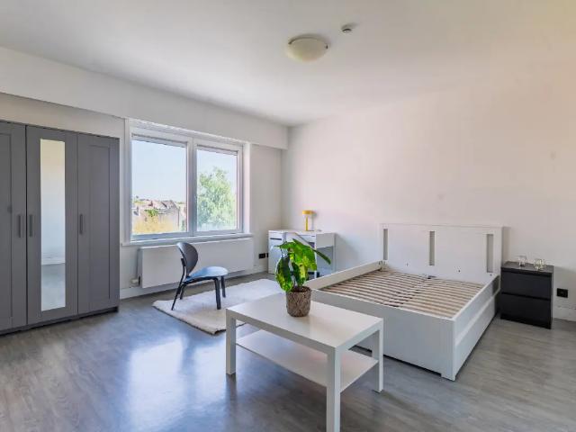 Kot location à Desteldonk, Oost-Vlaanderen