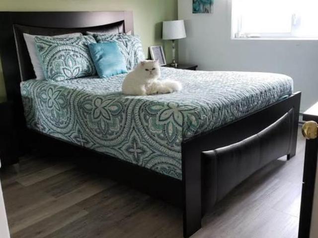Apartment for rent in Longueuil, Quebec
