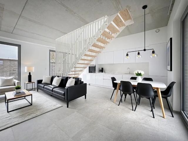 Maison location à Antwerpen