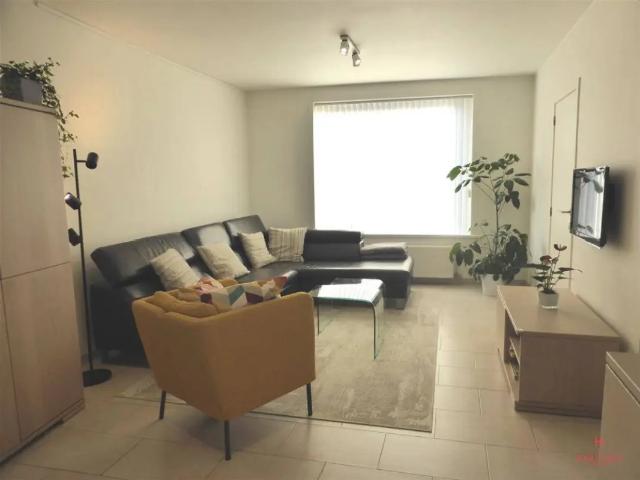 Maison location à Aalter, Oost-Vlaanderen