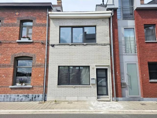 Maison location à Willebroeck, Antwerpen