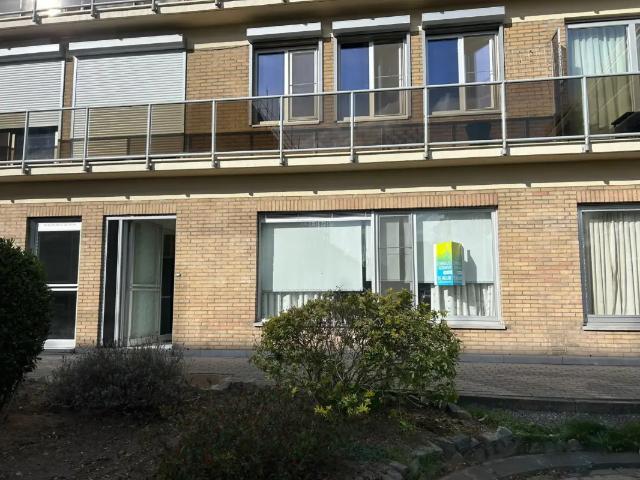 Maison location à Dendermonde