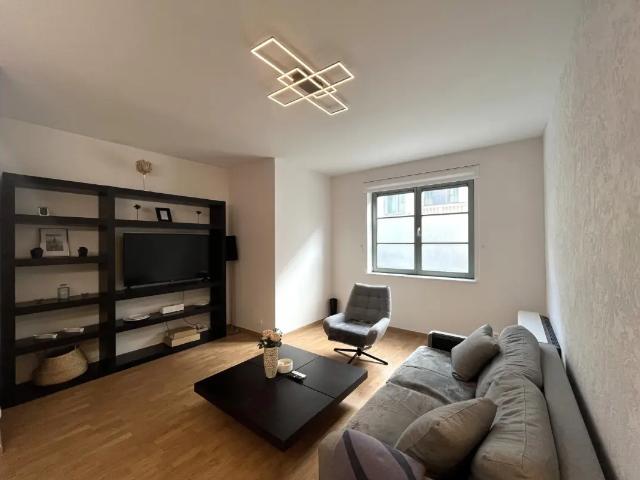 Maison location à Espace Léopold - Leopoldruimte, Ixelles - Elsene