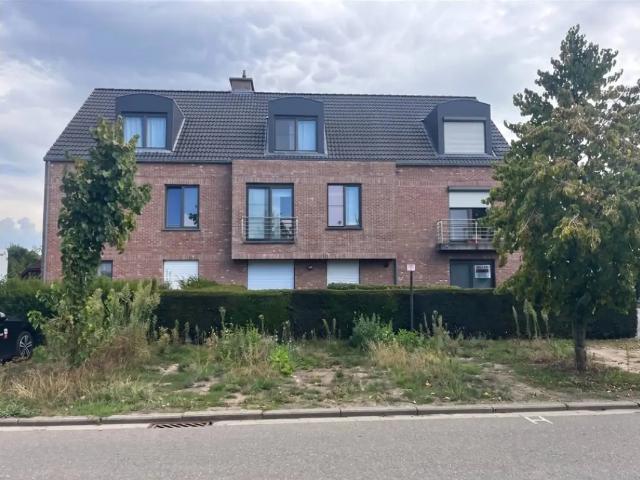 Maison location à Meerhout