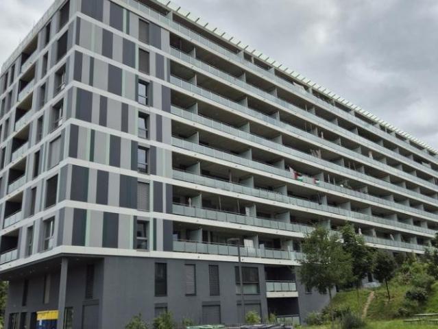 Apartment mieten in Meyrin