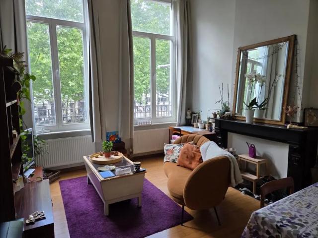 Kot location à Antwerpen