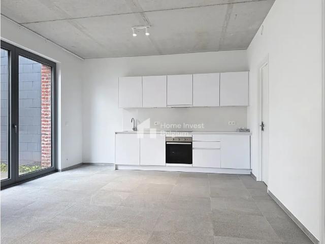 Kot location à Antwerpen