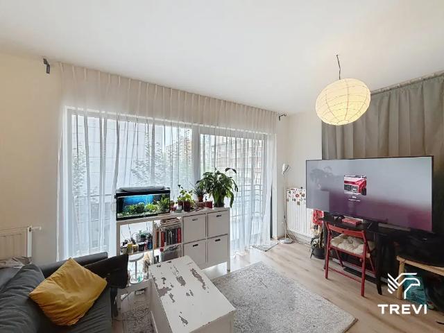 Kot location à Oudergem, Bruxelles
