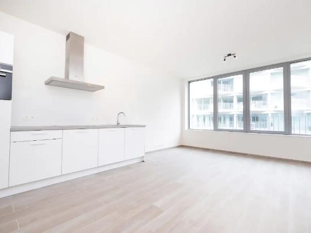 Kot location à Brussel, Bruxelles