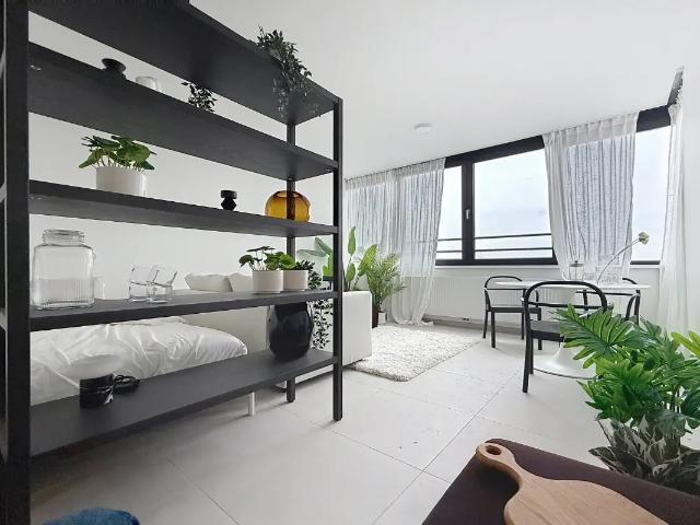 Kot location à Jette, Bruxelles