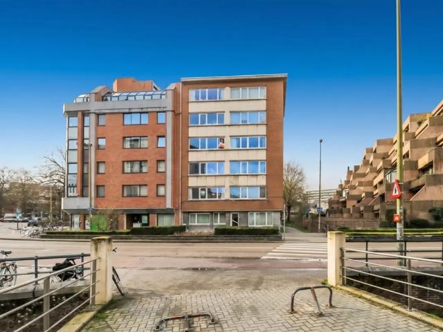 Kot location à Lava, Brabant