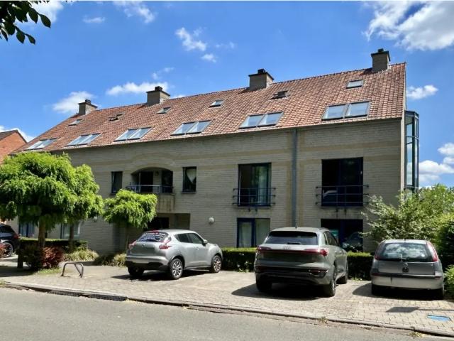 Kot location à Lava, Brabant