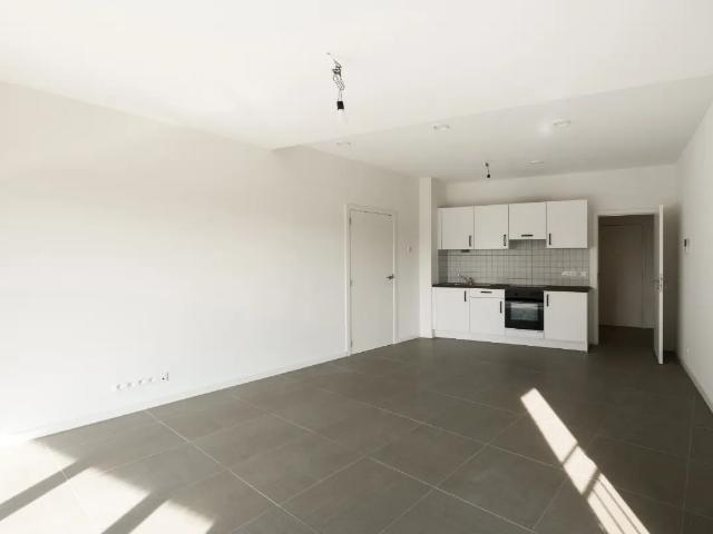 Kot location à Schaarbeek, Bruxelles