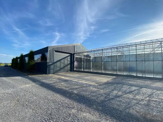 Local Commercial location à Pittem, West-Vlaanderen