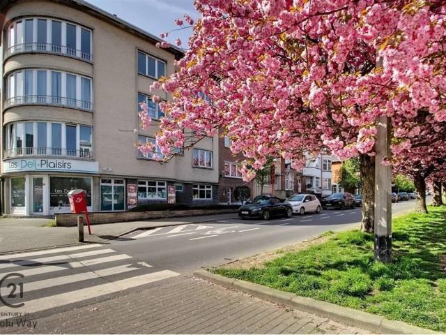 Local Commercial location à Sint-lambrechts-woluwe, Bruxelles