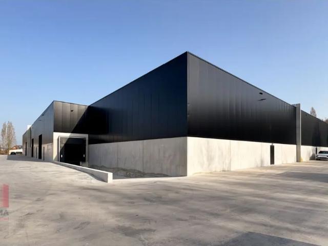 Local Commercial location à Buggenhout, Oost-Vlaanderen
