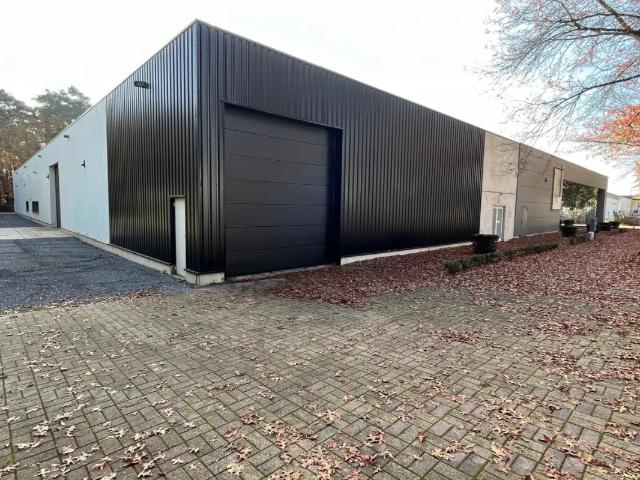 Local Commercial location à Hasselt, Limburg