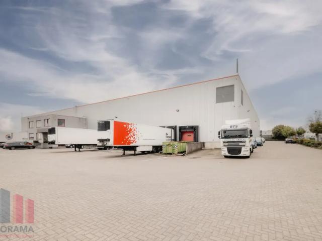Local Commercial location à Londerzeel, Brabant