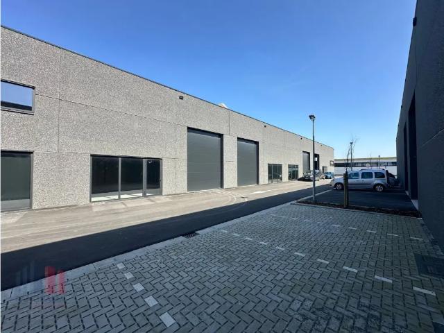 Local Commercial location à Mouscron, Wallonie
