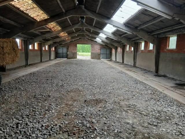 Local Commercial location à Wallonie