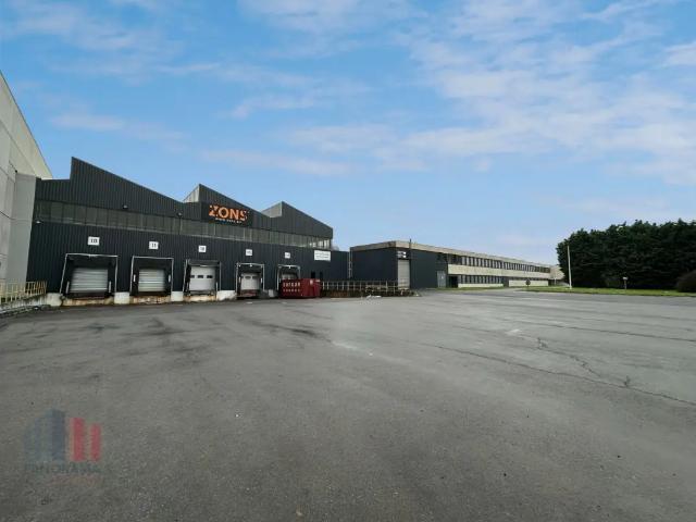 Local Commercial location à Brunehaut, Wallonie