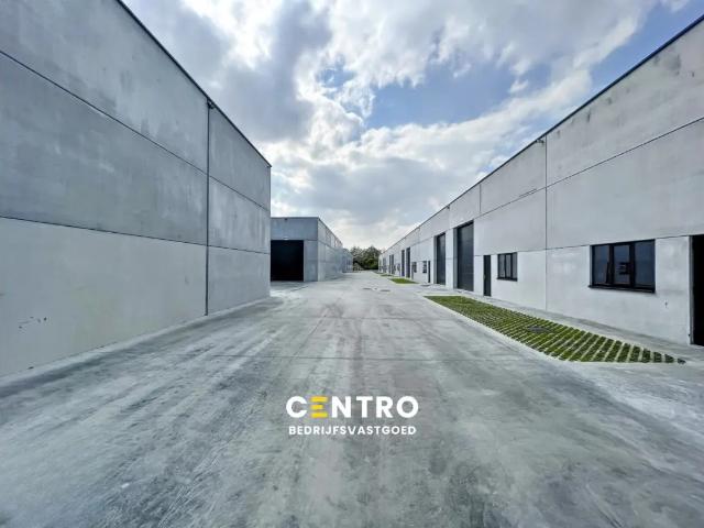 Local Commercial location à Waregem, West-Vlaanderen