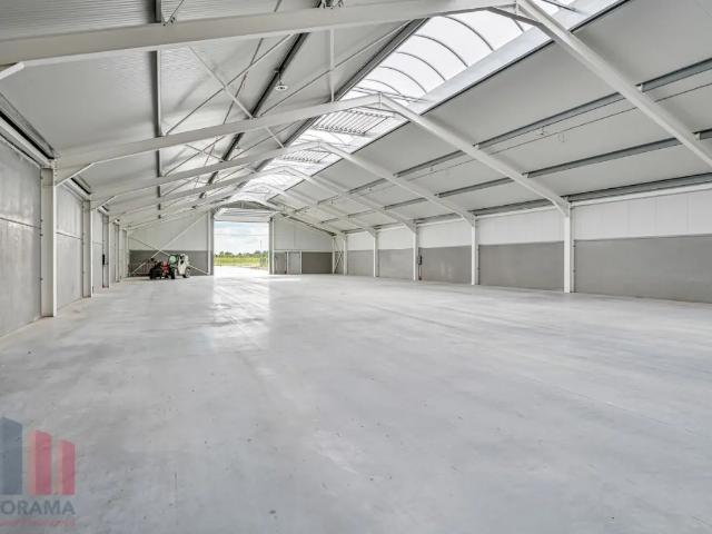 Local Commercial location à Wichelen, Oost-Vlaanderen