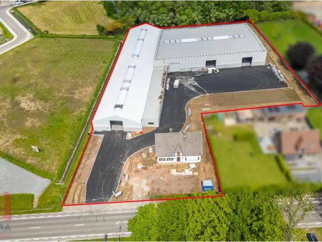 Local Commercial location à Wichelen, Oost-Vlaanderen