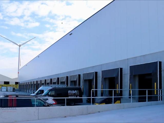 Local Commercial location à Willebroeck, Antwerpen