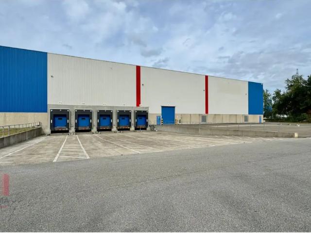 Local Commercial location à Willebroeck, Antwerpen