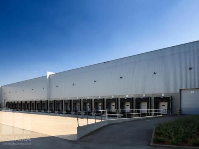 Local Commercial location à Willebroeck, Antwerpen