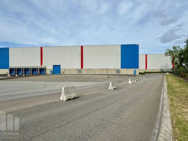 Local Commercial location à Willebroeck, Antwerpen