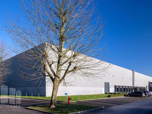 Local Commercial location à Willebroeck, Antwerpen
