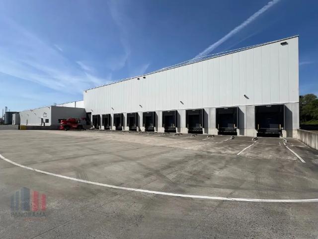 Local Commercial location à Willebroeck, Antwerpen