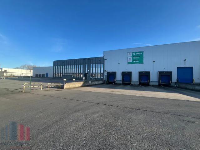 Local Commercial location à Zele, Oost-Vlaanderen