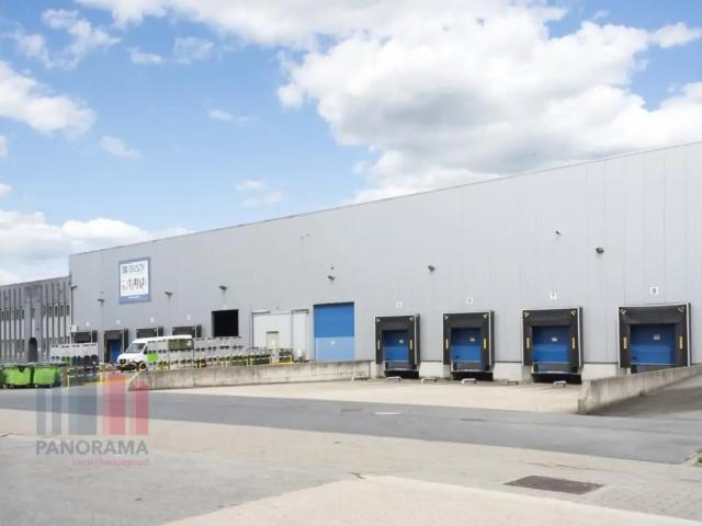 Local Commercial location à Zele, Oost-Vlaanderen