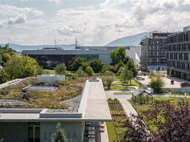 Atelier mieten in Meyrin
