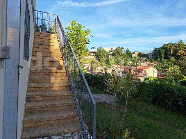 Appartement location à Pointe-à-Pitre