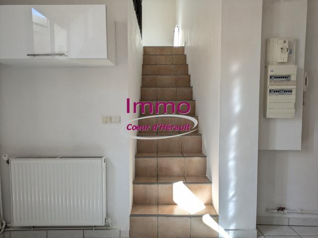 Appartement location à Lodève
