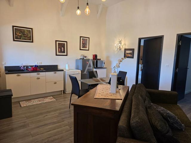 Appartement location à Albi, Lisle-sur-tarn